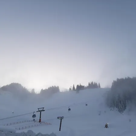 Susis Altenmarkt Apartamento *