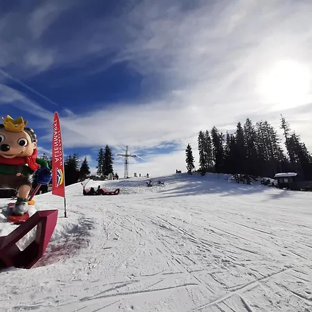 Susis Altenmarkt Apartamento *