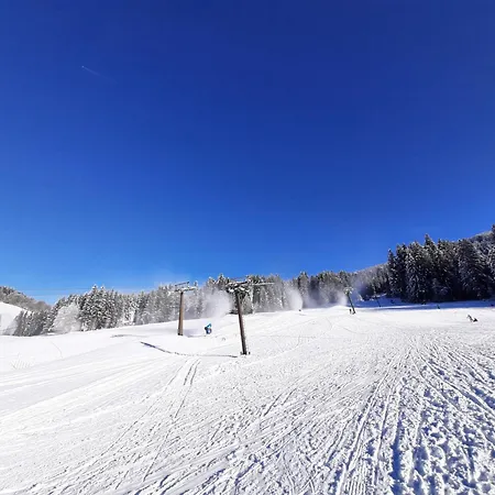 Apartment Susis Altenmarkt Altenmarkt im Pongau